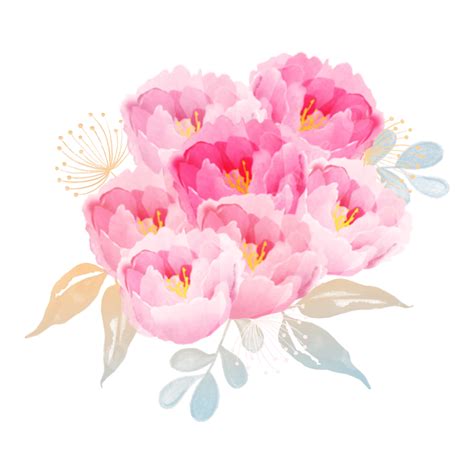 peony clip art|peony leaves pictures.